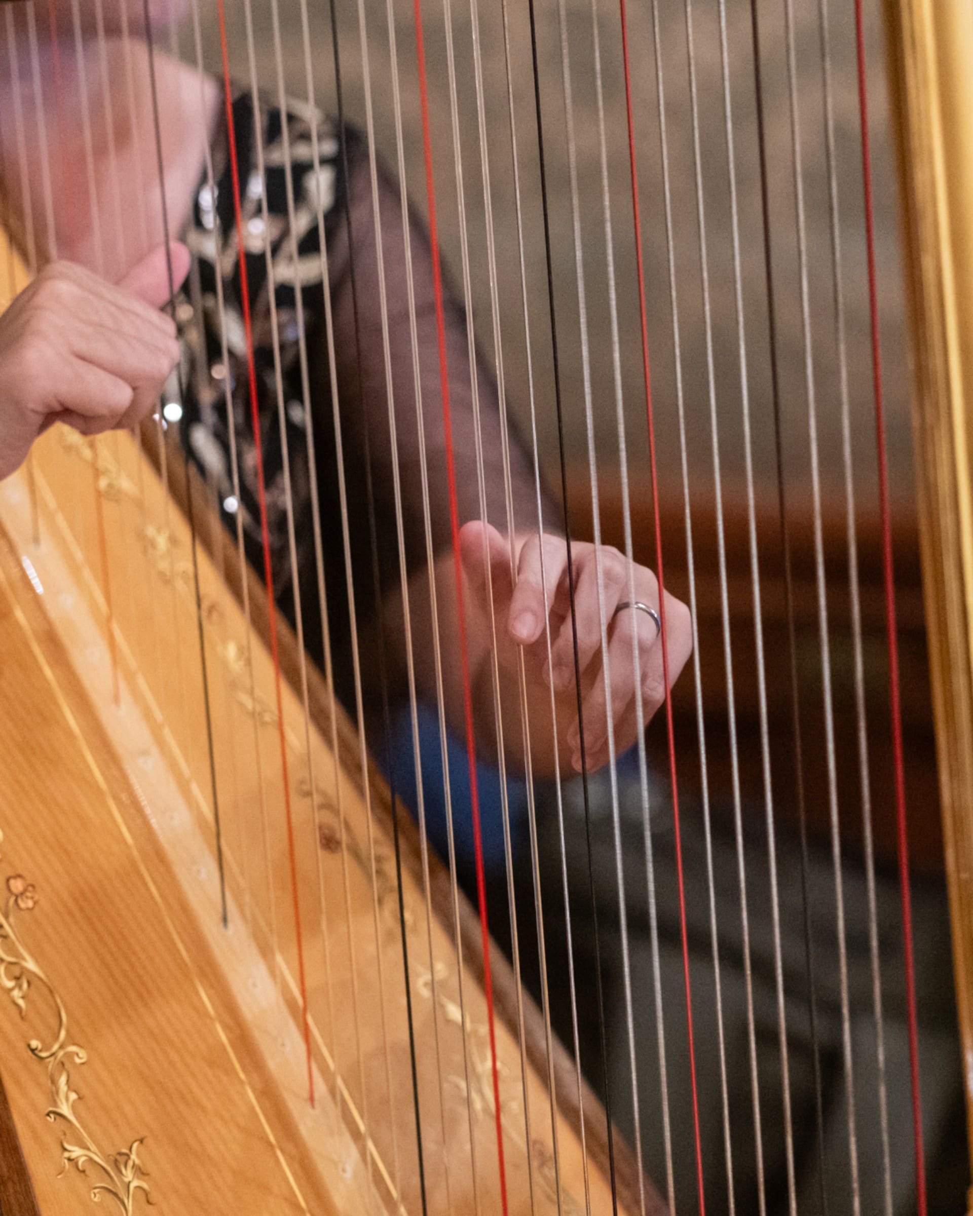 Close-up of hands playing the strings of a golden harp during the Chang 50th Anniversary celebration